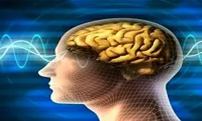 آیا بین پارازیت ها و شیوع سرطان ارتباطی هست؟