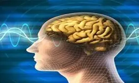 آیا بین پارازیت ها و شیوع سرطان ارتباطی هست؟