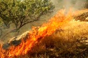 مهار ۳ آتش سوزی در جنگلها و مراتع بهمئی