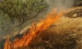 مهار ۳ آتش سوزی در جنگلها و مراتع بهمئی