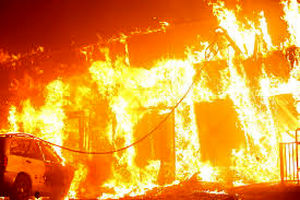 فیلم/ نمایی دیگر از آتش سوزی جنگل چیتگر