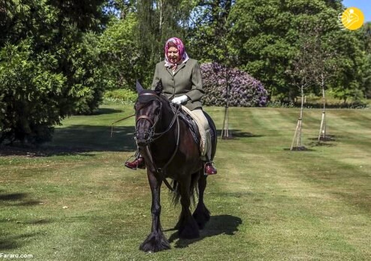 ملکه انگلیس با روسری و سوار بر اسب از قرنطینه خارج شد / عکس