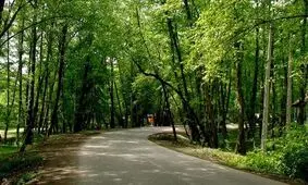 درهای بوستان چیتگر باز است
