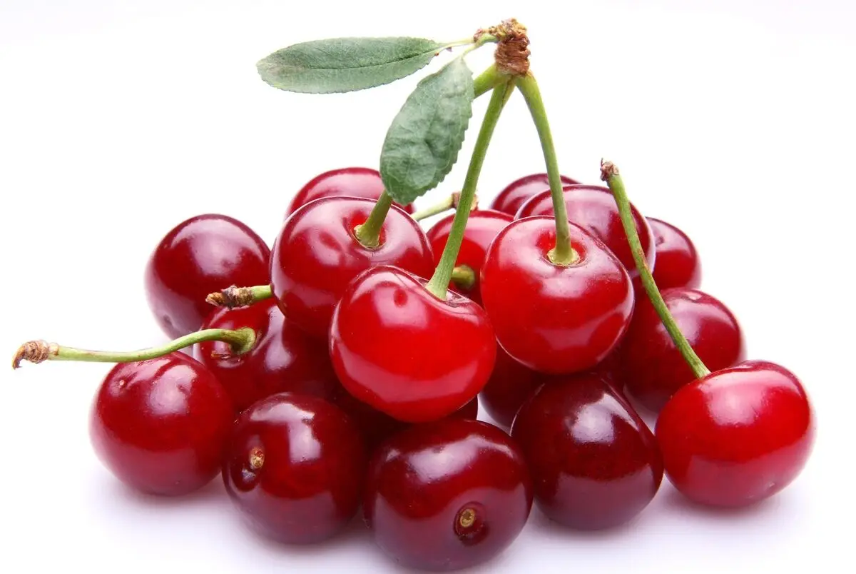 این افراد هرگز آلبالو نخورند