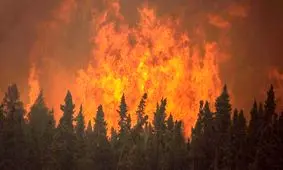 &#039;۴۰ درصد&#039; از "خائیز" زاگرس در آتش‌سوزی آسیب دید