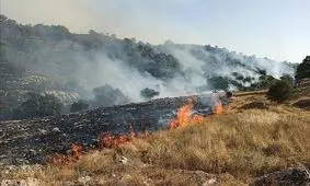 عاملان آتش‌سوزی کوه خائیز دستگیر شدند/ ۴۰ هکتار جنگل و مرتع در آتش سوخت
