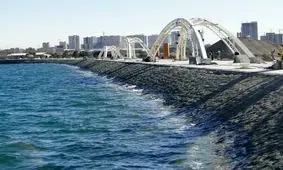 آتش سوزی در محوطه سبز روبروی دریاچه خلیج فارس