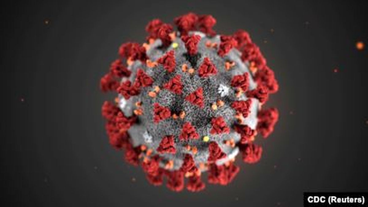 بزرگ ترین منبع ویروس کرونا شناسایی شد