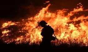 آخرین جزئیات از حادثه آتش سوزی در محدوده دریاچه چیتگر