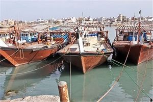 ۲۰ هزار ملوان لنج‌های تجاری استان بوشهر بیکار شده‌اند