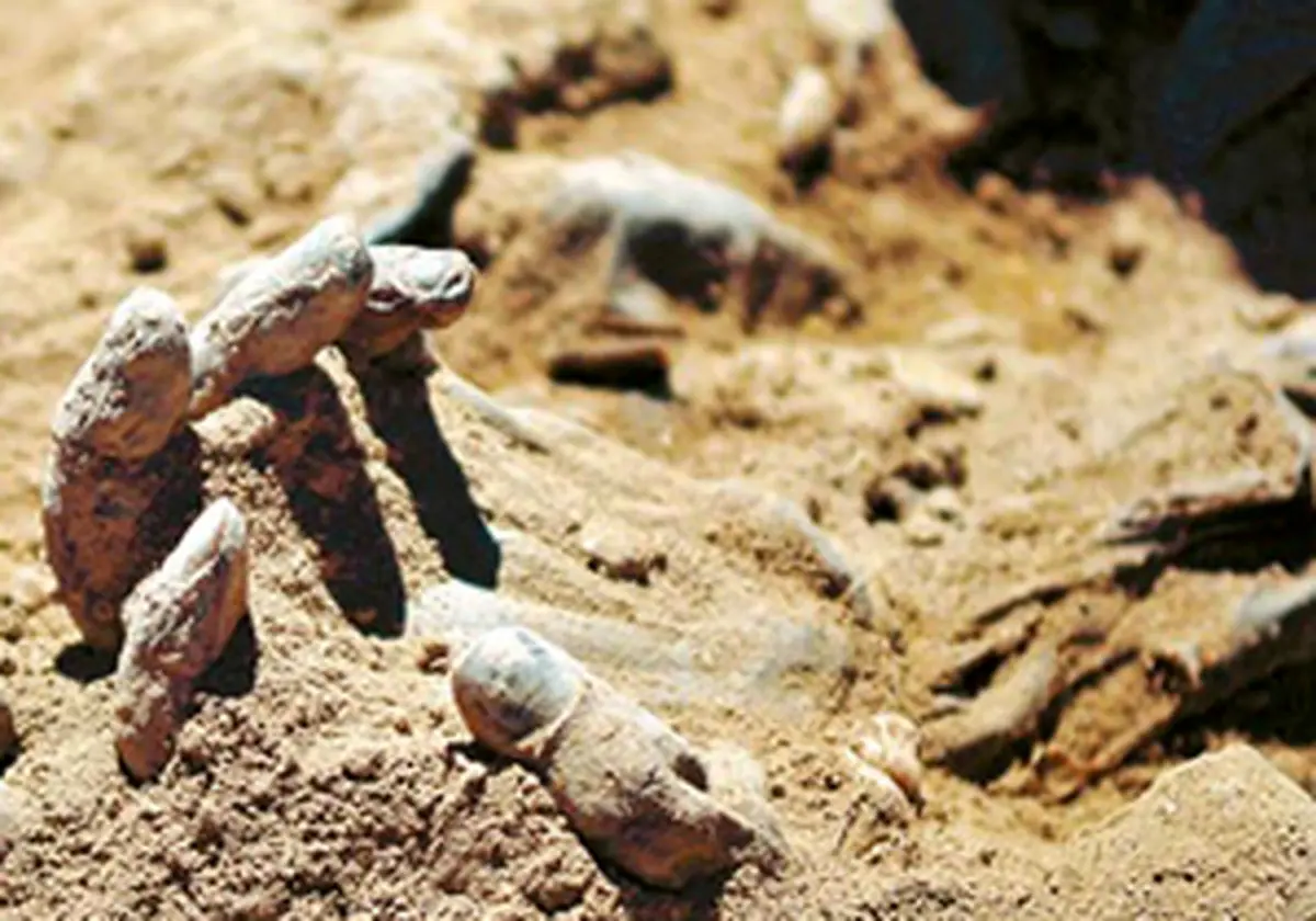 فیلم / تلاش مردم برای نجات دختر زنده به گور شده