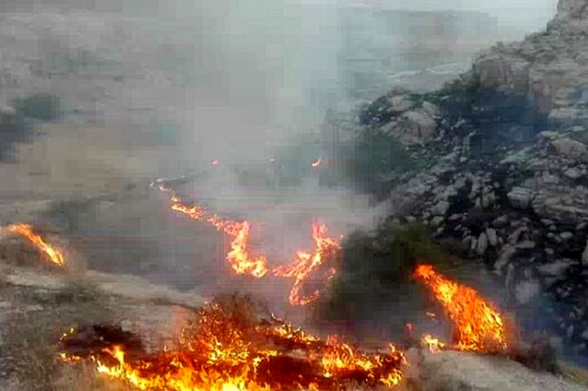 آتشسوزی در ارتفاعات دشتستان مهار شد