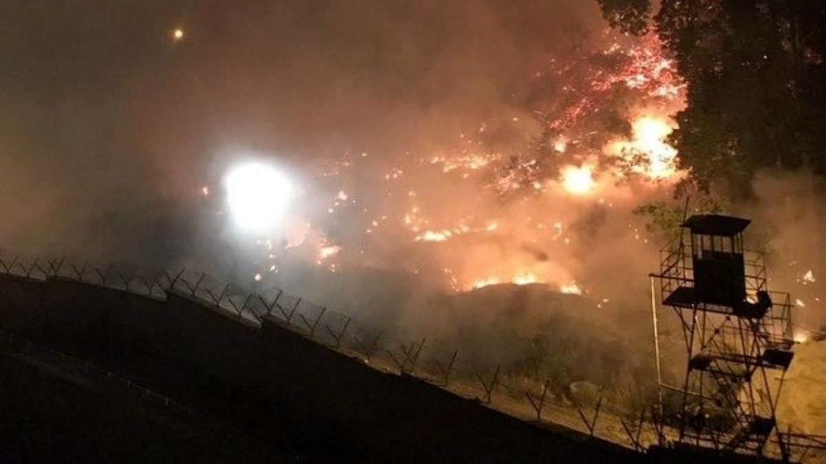 آتش سوزی فضای سبز در نزدیکی زندان اوین +فیلم