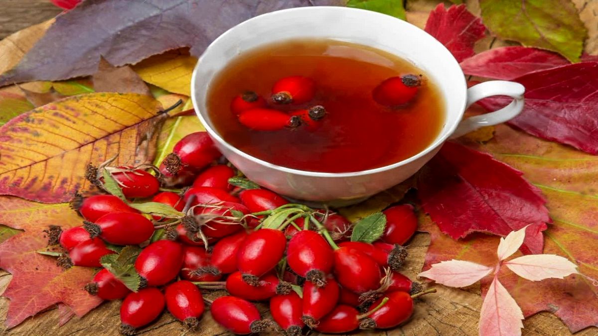 خواص شگفتانگیز گل نسترن؛ از تقویت مو تا درمان سنگ کلیه