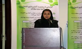 خیابان‌های اصلی سنندج با مضامین موسیقایی دیوارنگاری شد