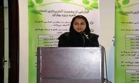 خیابان‌های اصلی سنندج با مضامین موسیقایی دیوارنگاری شد