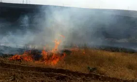 وقوع ۹ مورد حریق مراتع و پوشش گیاهی طی یک روز در همدان