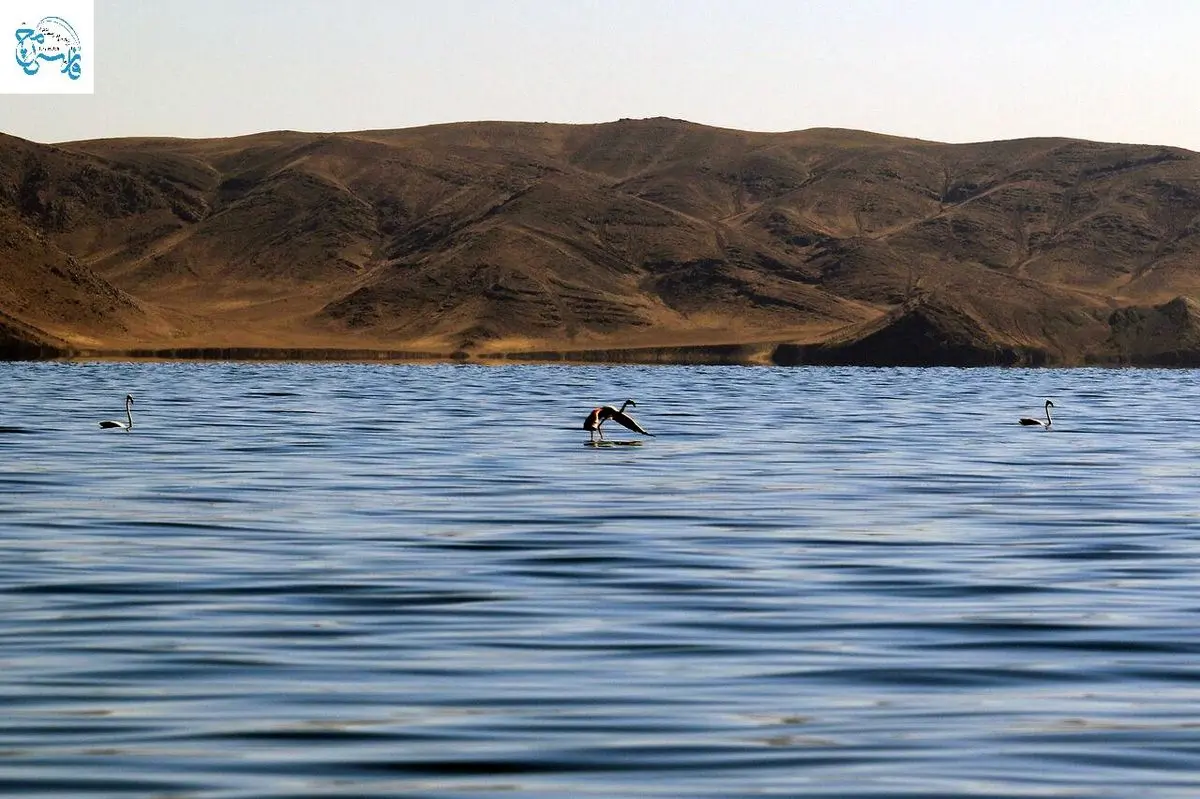 غرق شدن ۲۰ نفر در دریاچه ارومیه