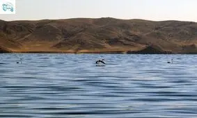 غرق شدن ۲۰ نفر در دریاچه ارومیه
