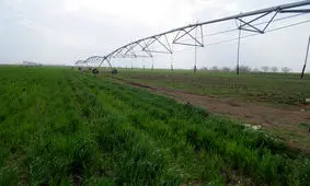 اجرای ۲۵۵۰ هکتار طرح آبیاری نوین در آذربایجان غربی