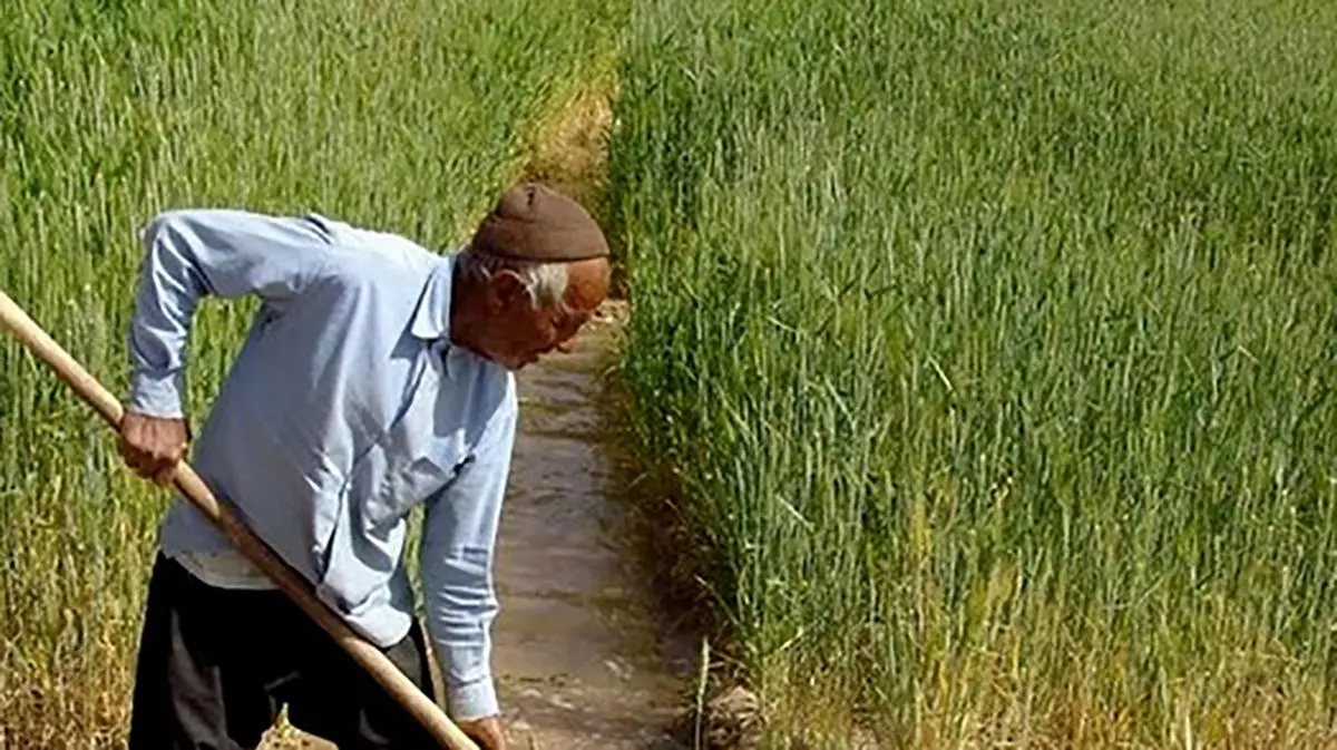 کشاورزان چگونه از برق رایگان برخوردار می‌شوند؟