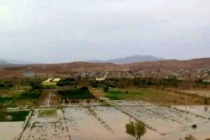 خسارت سیل به کشاورزان روستای چوپانان