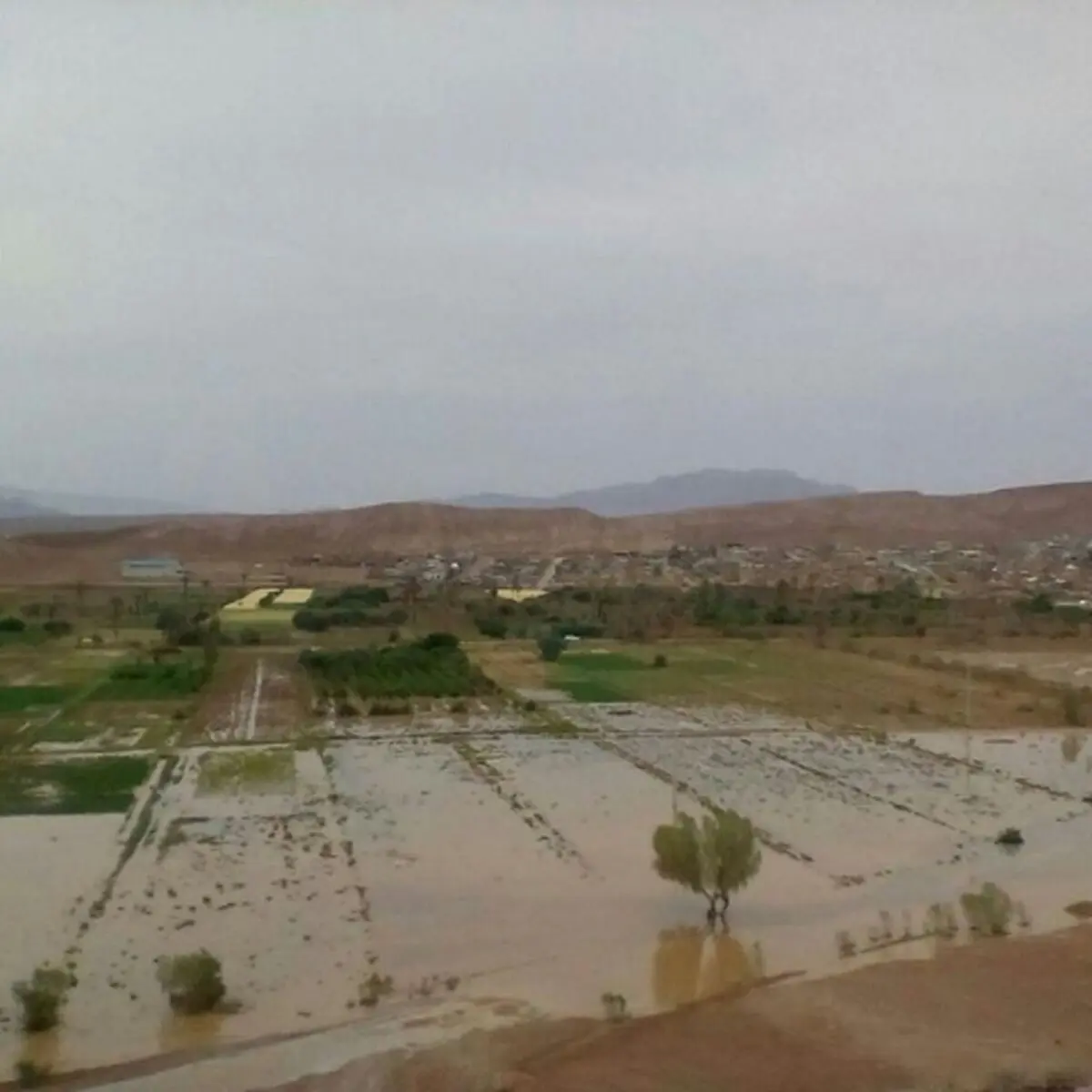 خسارت سیل به کشاورزان روستای چوپانان