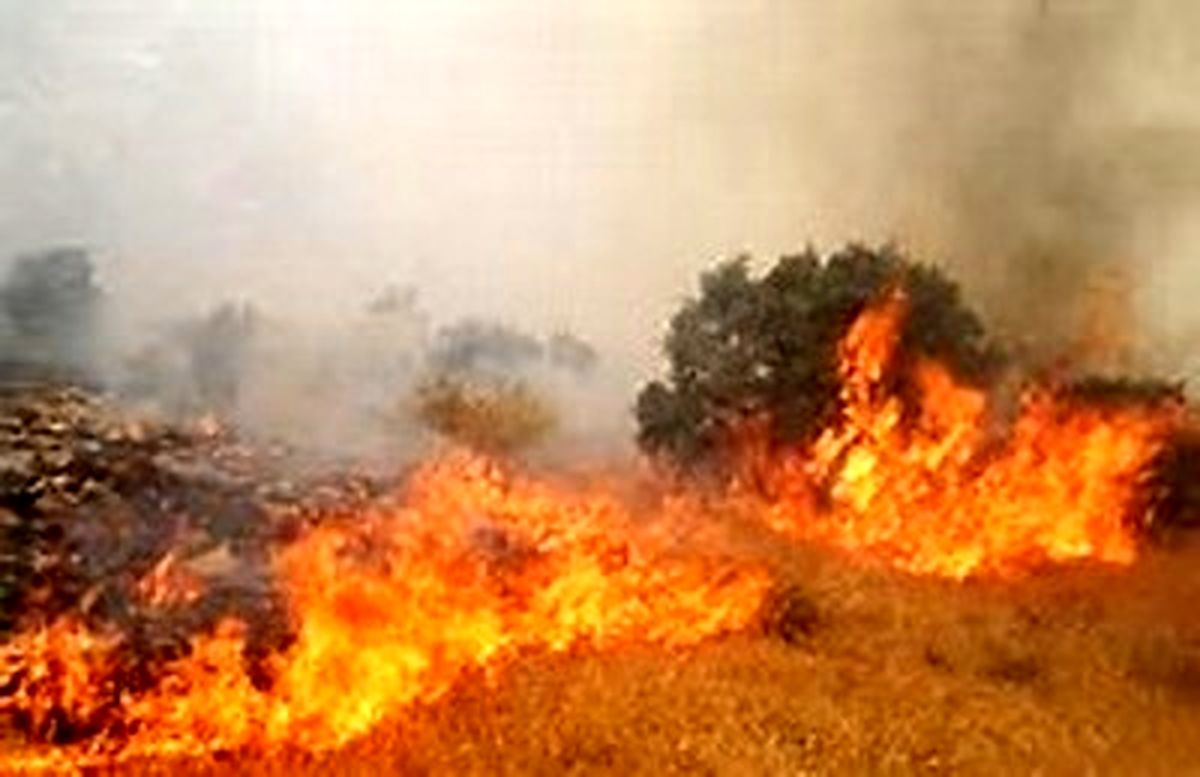 وقوع ۱۱ مورد آتش‌سوزی در نیزارهای اهواز