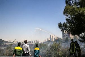 عمدی بودن 4 مورد از آتش‌ سوزی‌ بوستان‌های تهران