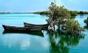 اجرای طرح‌های آبزی پروری در منطقه حفاظت شده «حرا» قشم ممنوع است