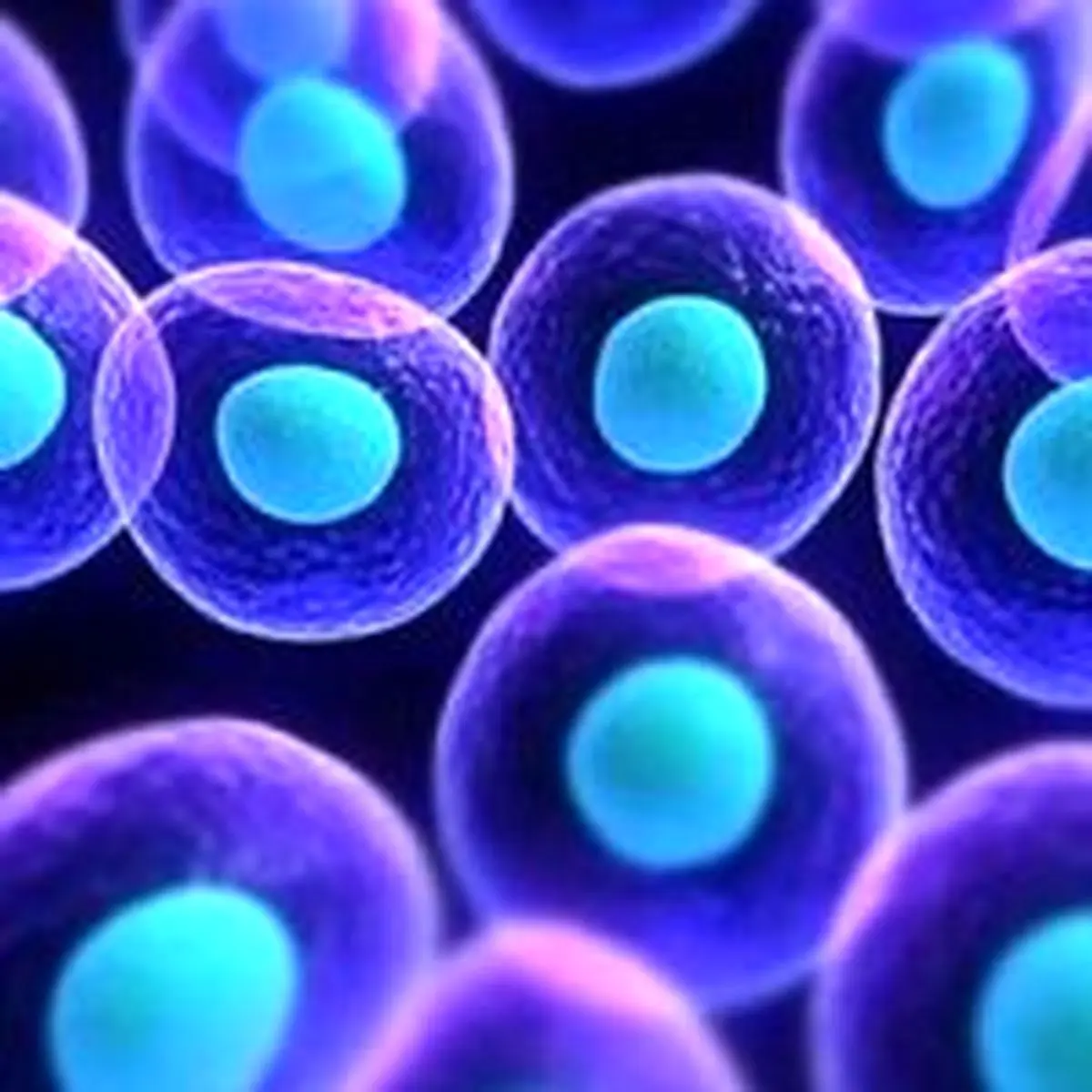 گرسنه شوید سلول‌هایتان می‌میرد!