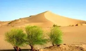 کانون های بحرانی بیابان های خراسان شمالی در وضعیت متوسط قرار گرفتند