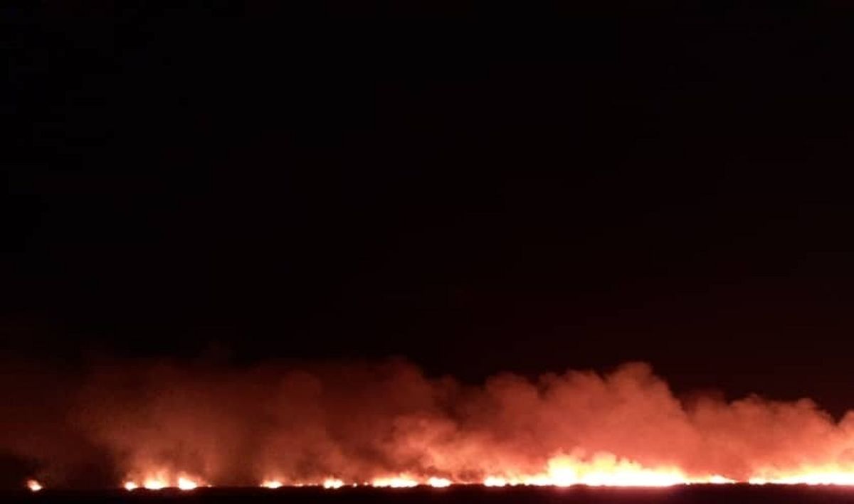 ارتفاعات پارک ملی بمو شبانه آتش گرفت