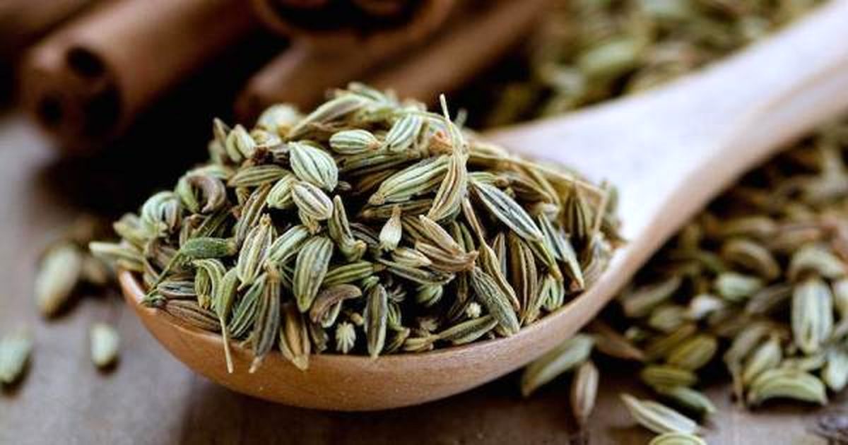 رازیانه؛ گیاهی شگفتانگیز برای بانوان