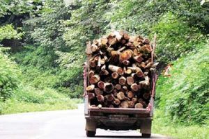 محموله چوب جنگلی قاچاق در کوهرنگ توقیف شد