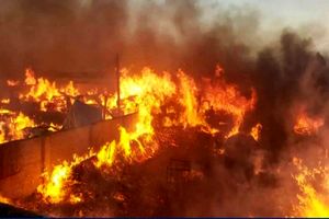مهار آتش سوزی مراتع پارک ملی بمو با حضور ۲۵ آتش نشان