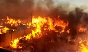 مهار آتش سوزی مراتع پارک ملی بمو با حضور ۲۵ آتش نشان