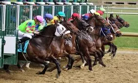 محرومیت ۲۰ ساله یک سوارکار به دلیلی عجیب