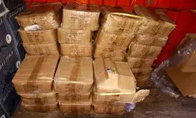 داروهای قاچاق دو میلیاردی در چگینی به مقصد نرسید