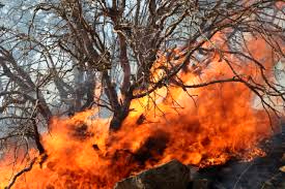 مهار ۹۵درصدی آتش سوزی جنگلهای گچساران