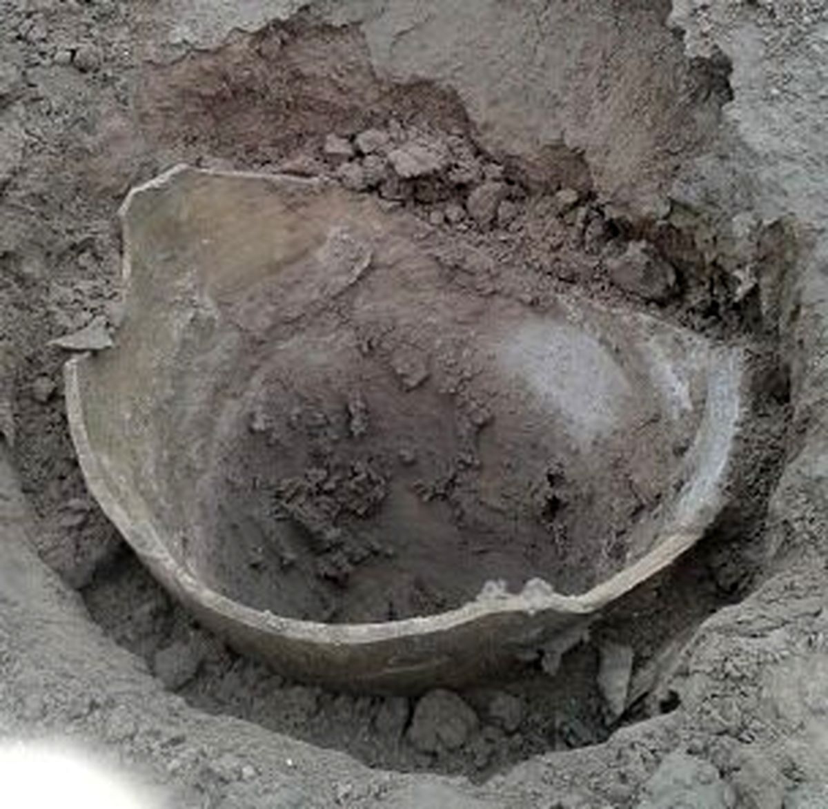 قاچاقچیان دوباره سراغ «بیتمشحوت» رفتند