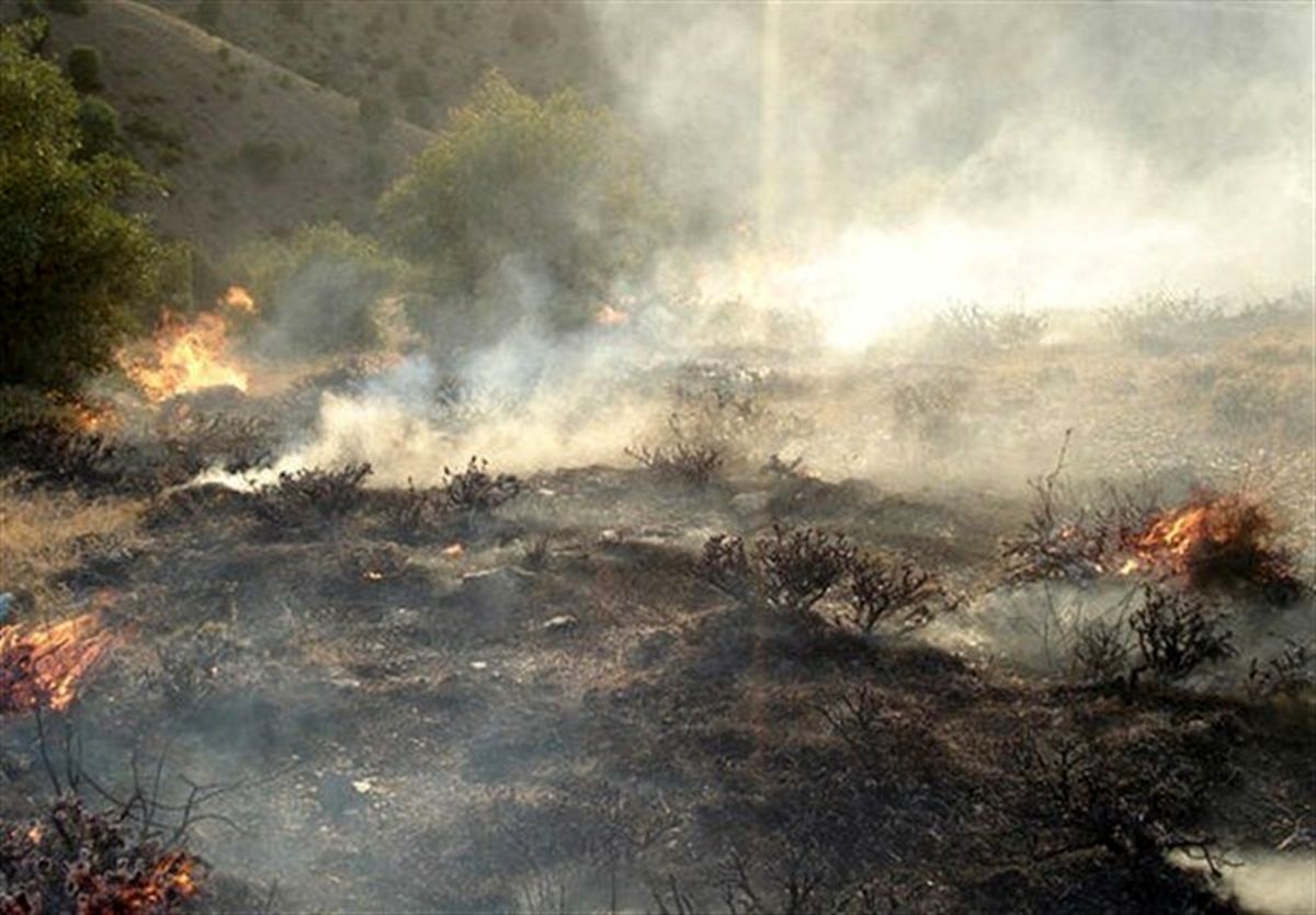 جنگل‌های گچساران همچنان می‌سوزند؛ پرواز ۳  بالگرد بر فراز آسمان آتشی دوگنبدان + عکس