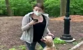 ویدیویی که ‏۲۴ میلیون بازدید در یک روز گرفت