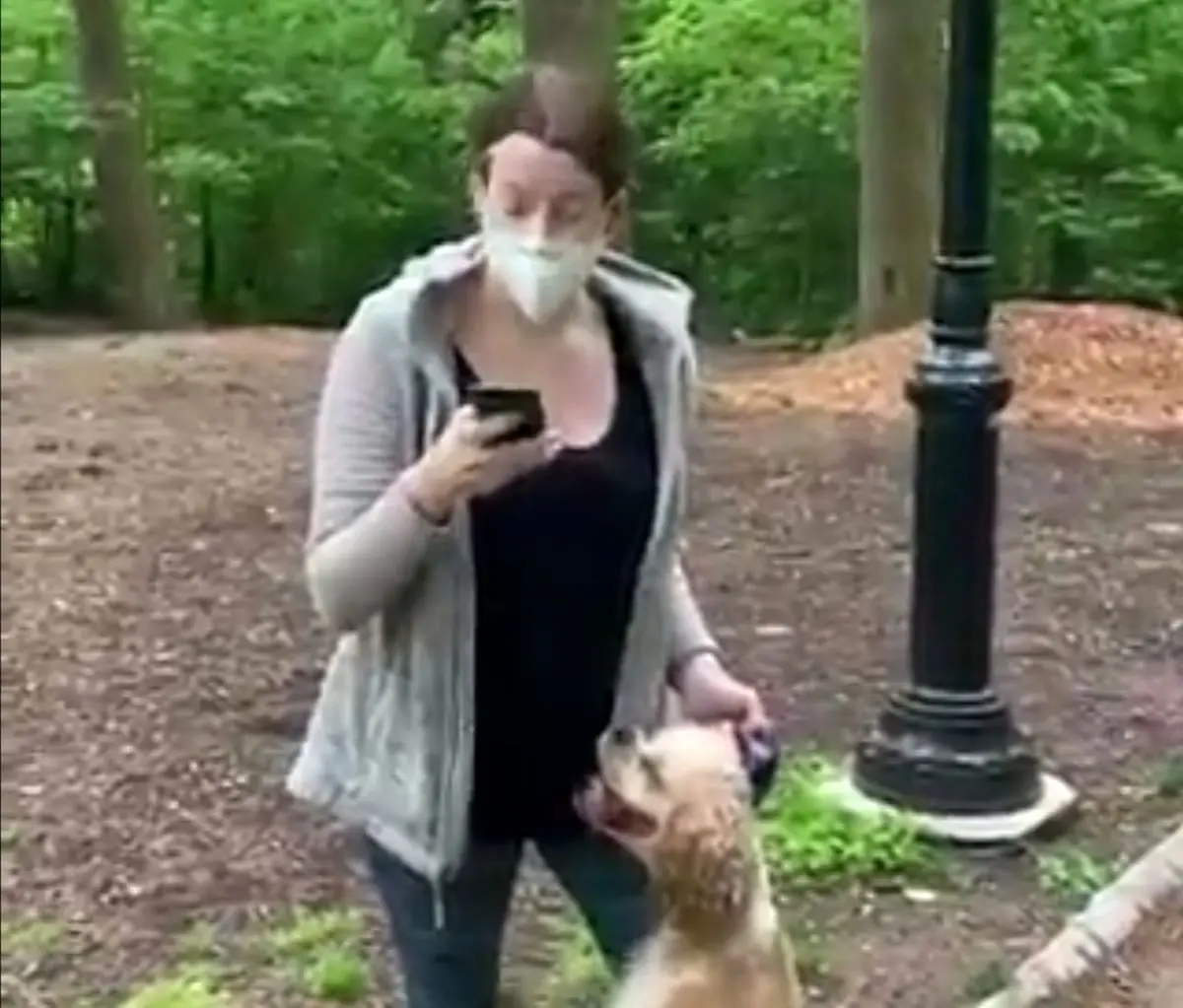 ویدیویی که ‏۲۴ میلیون بازدید در یک روز گرفت