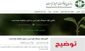 موجود عجیبی که در رشتخوار ایران دیده شد چه بود؟