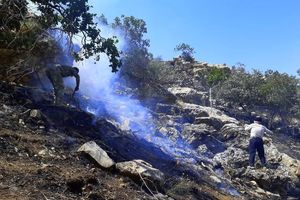 جنگلها و مراتع دیل گچساران در حال سوختن