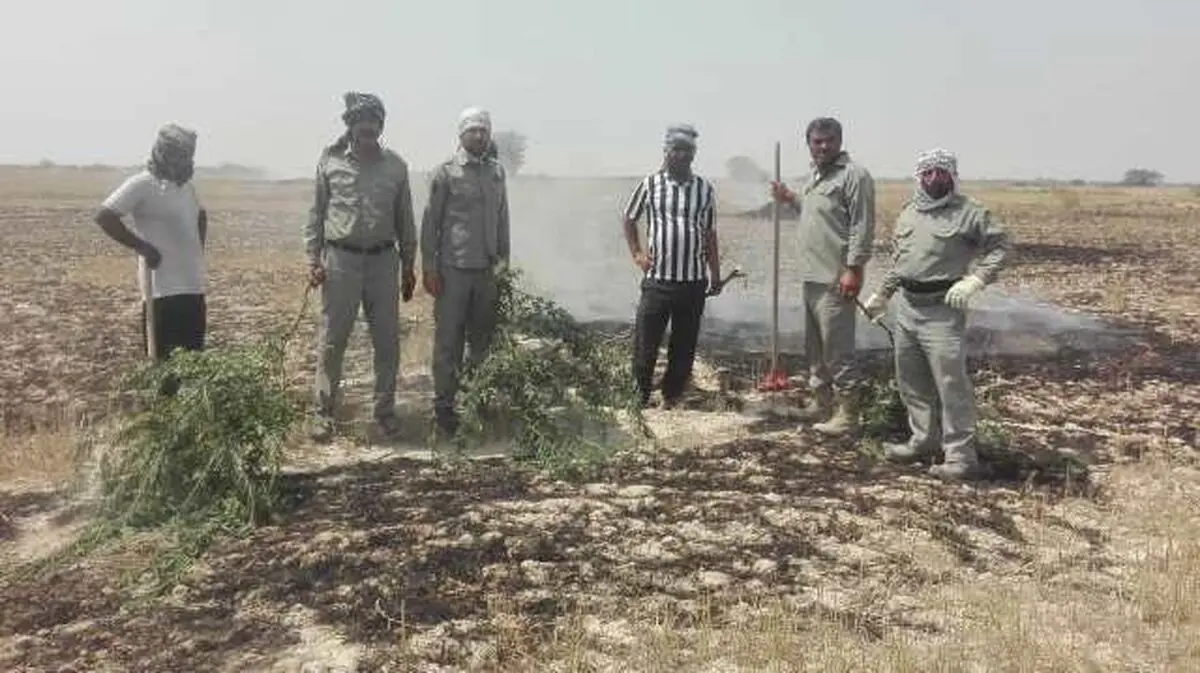 آتش‌سوزی در منطقه حفاظت‌شده مُند استان بوشهر مهار شد