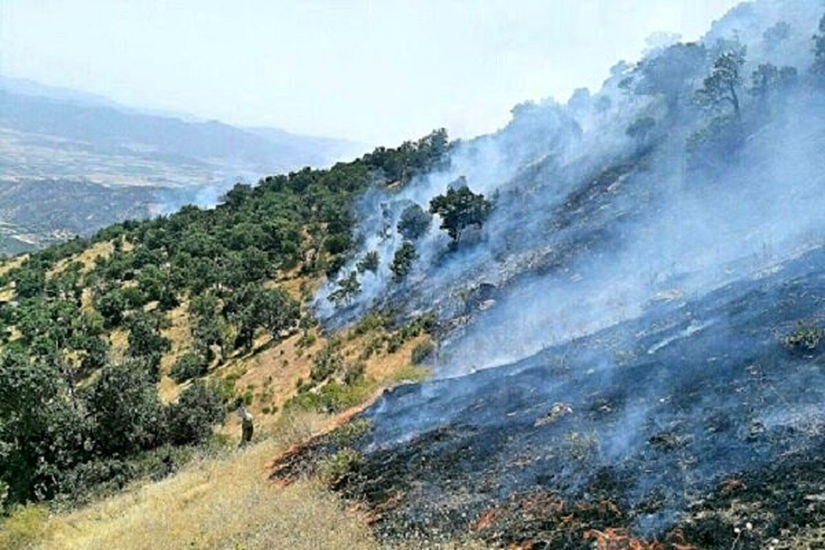 هشدار محیط زیست نسبت به آتش سوزی جنگل ها در مازندران