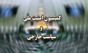 اعضای کمیسیون امنیت ملی مجلس یازدهم مشخص شدند
