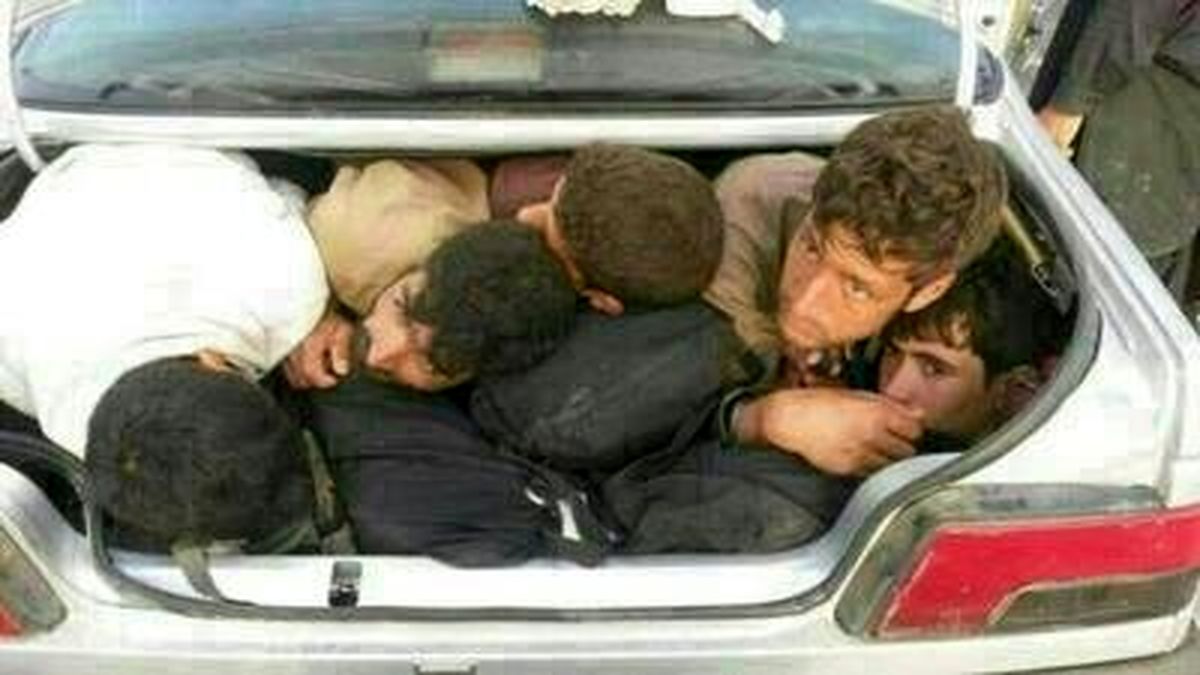 روایتی از پدیده شوم افغانکِشی